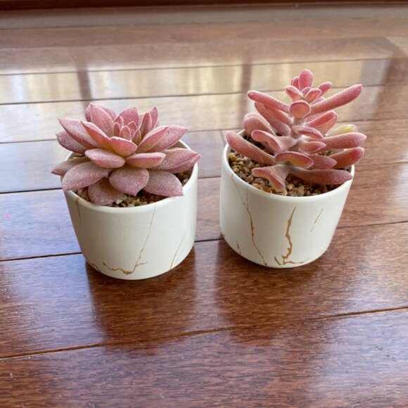 Plants Office Decor Bathroom Decor Desk Home Decoration Artificial Plant - Picture 3 of 9